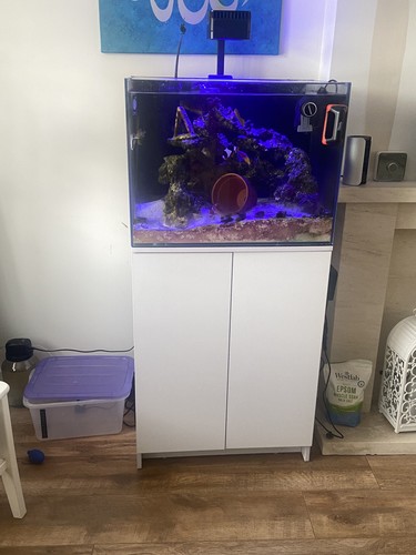 Aquaone minireef 120l marine - aquaone,
