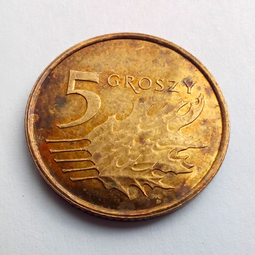 Genuine poland groszy - genuine, 5