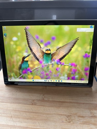 Microsoft surface pro 1796 - microsoft,