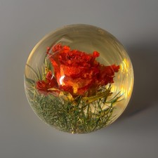 Vintage Hippocampus Resin