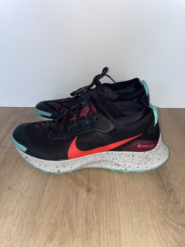 Nike pegasus trail gore - nike,