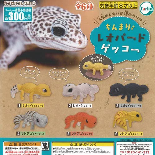 Chimmari leopard gecko - chimmari, mascot