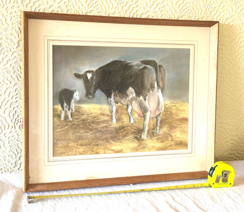 Countryside cow and calf - and,