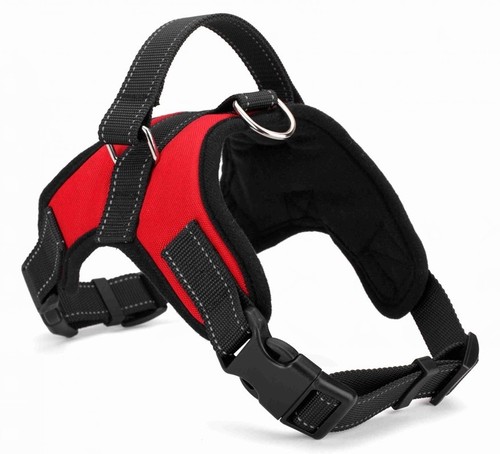 Pull dog pet harness - no,