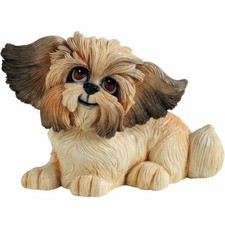 Little Paws Shih Tzu Gizmo