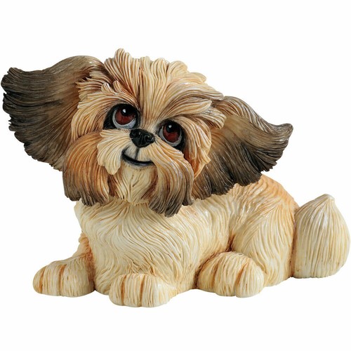 Little paws shih tzu - paws,