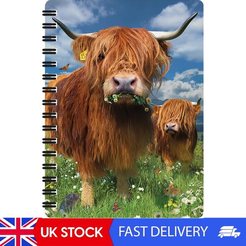 Highland cattle spiral bound - spiral,