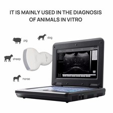 CE Veterinary Ultrasound