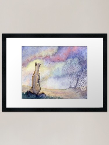 Whippet dog watches the - watches, dawn