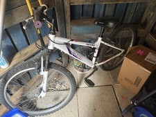 Apollo Jewel Women's Mountain