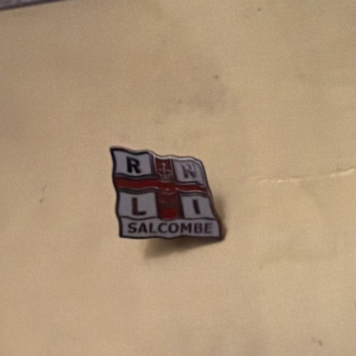 Salcombe rnli lifeboat lapel - -,
