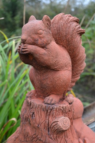 Squirrel half round - , roof