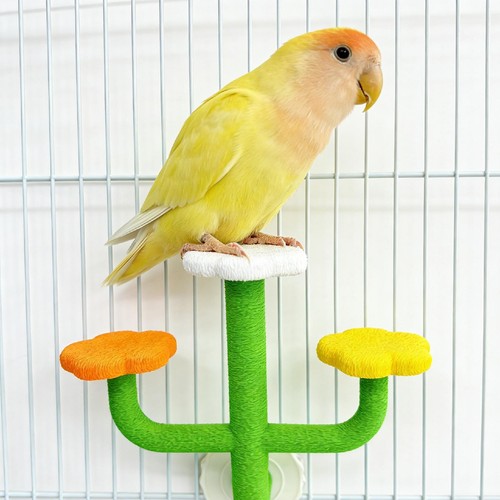 Bird perch stand metal - bird,