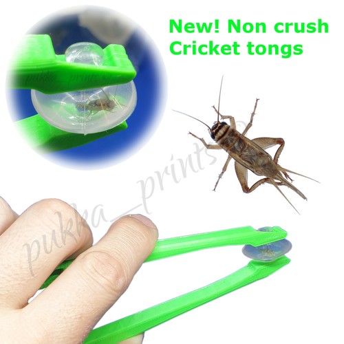 Non crush reptile tongs - non,