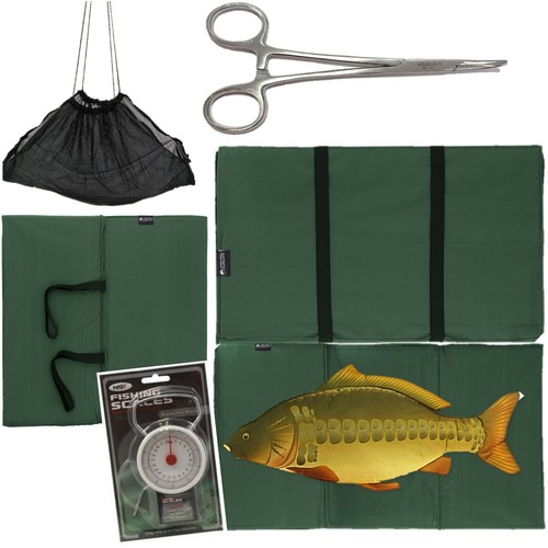 Carp fishing unhooking - fishing,