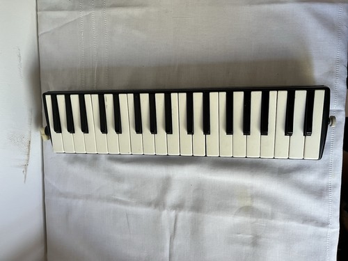 Hohner melodica piano - melodica, student