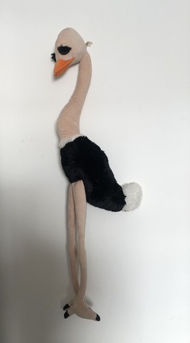 Nature planet large ostrich - nature,