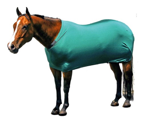 New sleazy sleepwear horse - new!, xs