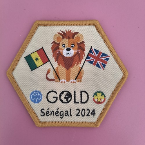 Girlguiding gold senegal - girlguiding,