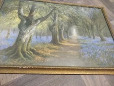 Daniel sherrin  budding