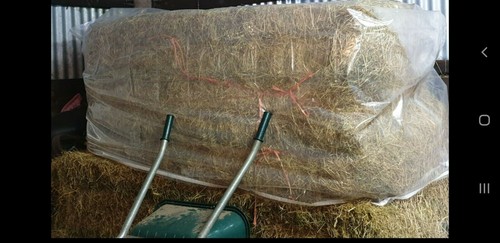 8ft heston hay - x, big