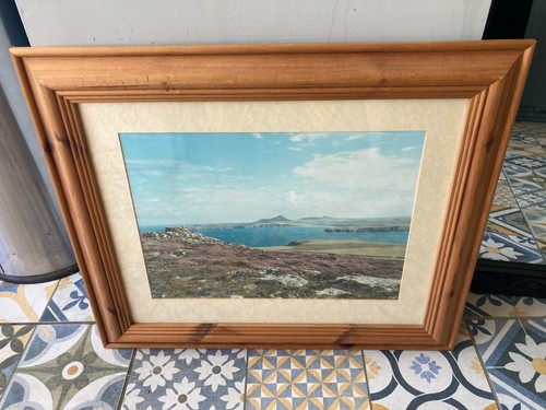Pine framed photo seascape - photo,