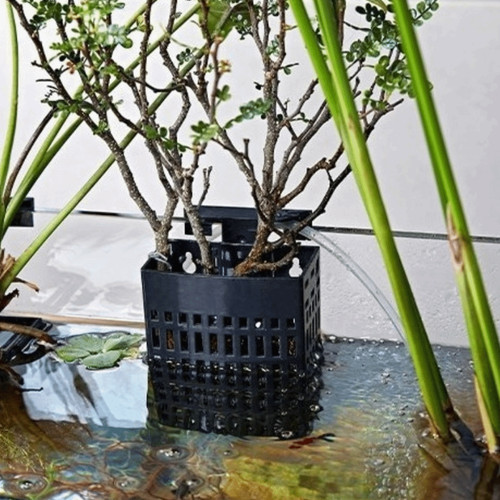 Wall hanging aquatic plant - hanging,