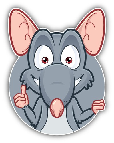 Funny rat face - face, bumper