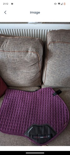 Lemieux suede classic plum - lemieux,