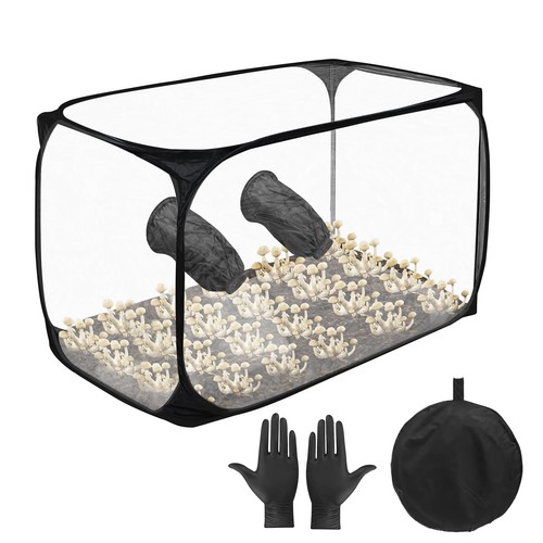 Mushroom cultivation still air - cultivation,