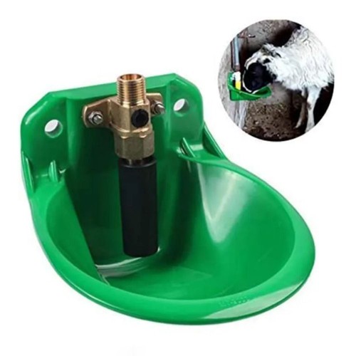 Automatic water bowl liquid - water,