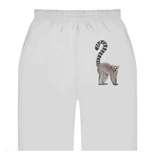 Ring tailed lemur adult - lemur',