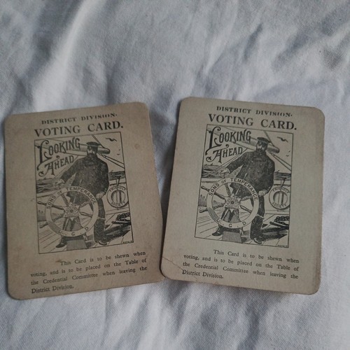 Temperance society voting - temperance,