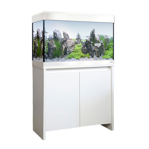 Roma 125 bluetooth led - bluetooth,