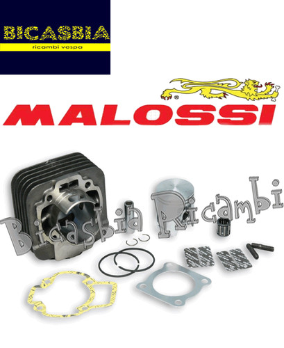 13541 cylinder malossi cast - -,