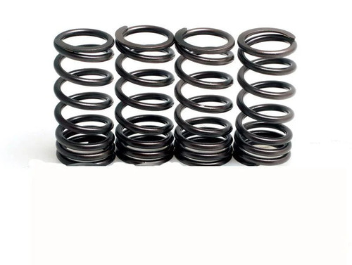 Valve spring set ttr250 - spring,