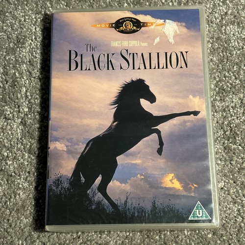 The black stallion - the,
