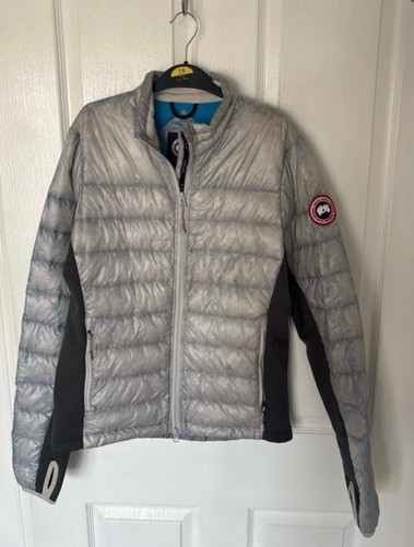 Canada goose never - goose, size