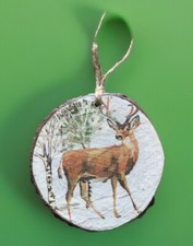 Wood log slice  Rustic