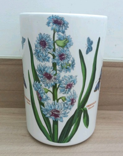Portmeirion botanic garden - ,