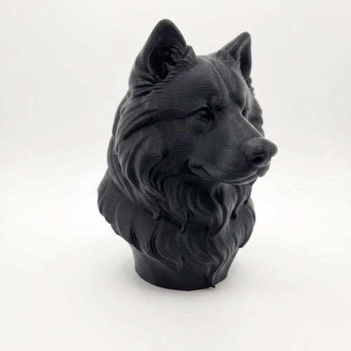 Samoyed dog bust - dog, home