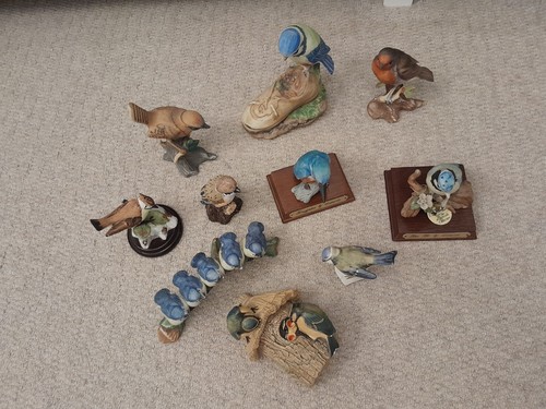 Collection bird ornaments - bird,
