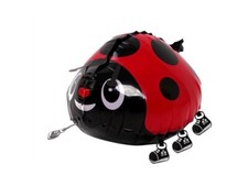 Ladybug Balloon Walking Pet