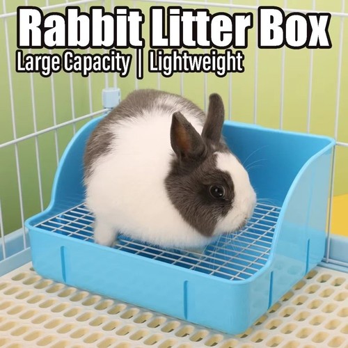 Rabbit litter box - rabbit,