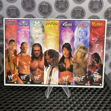 Vintage WWF WWE Wrestling