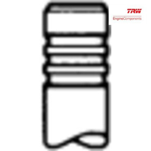 Exhaust valve trw - valve,