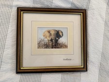 David shepherd Elephant