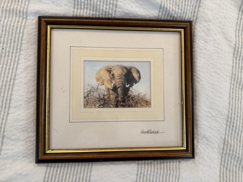 David shepherd elephant - david,