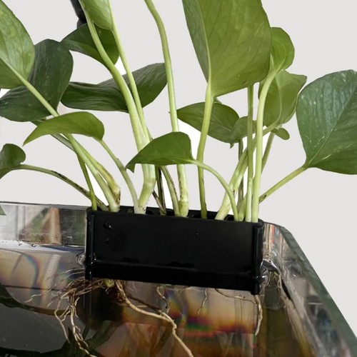 1pc aquatic plant holder - holder, cup