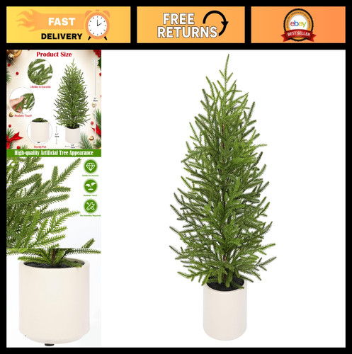6ft mini pine - mini,